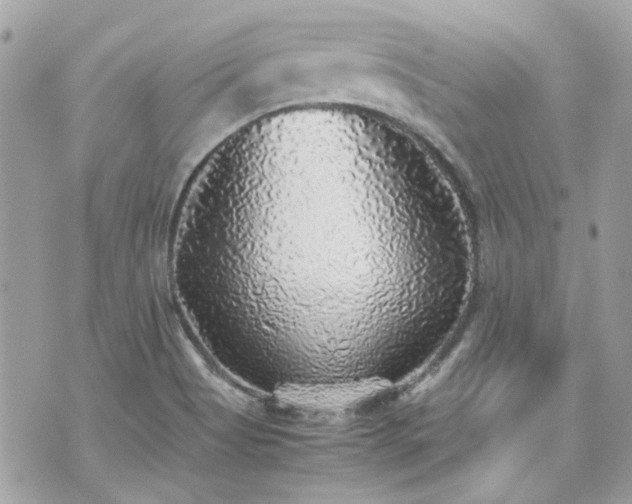 X0000070411513200606161358