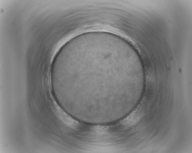 X0000070411514200606161358