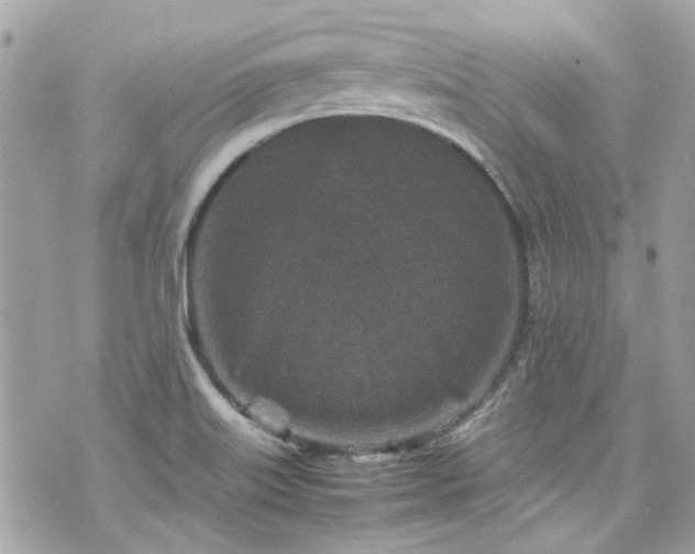 X0000070411515200606161358