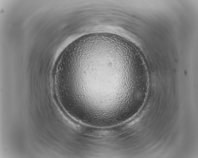 X0000070411517200606161358