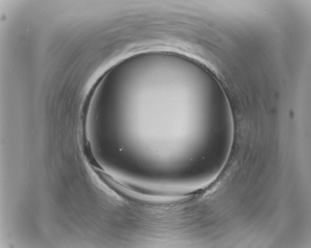 X0000070411518200606161358