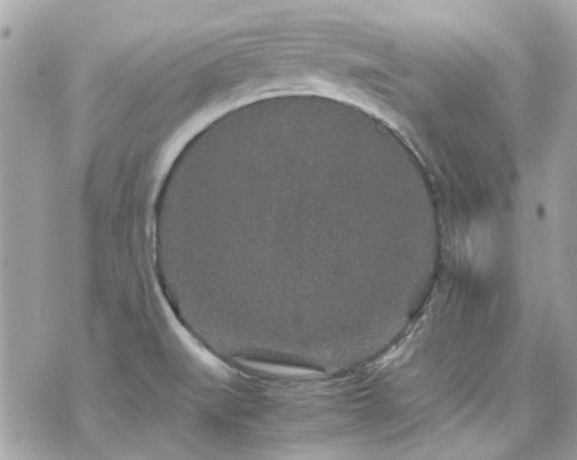 X0000070411519200606161358