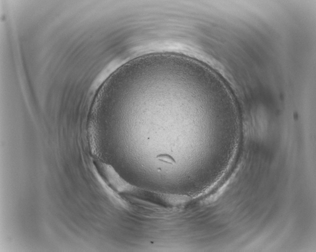 X0000070411521200606161358