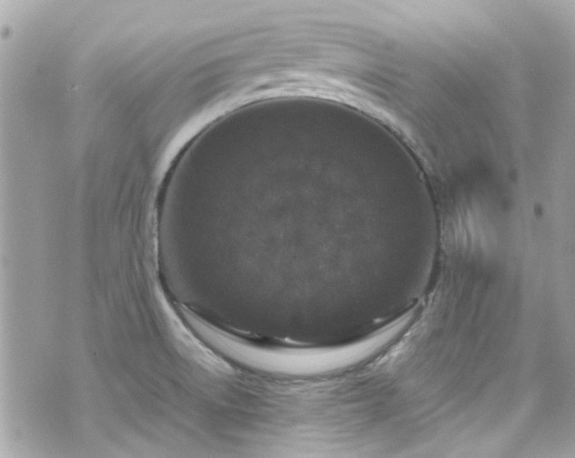 X0000070411522200606161358