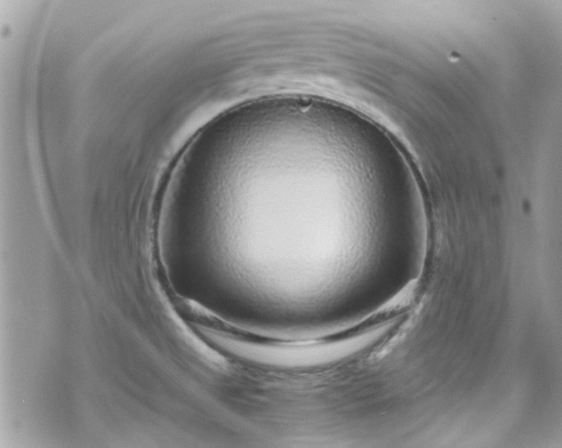 X0000070411525200606161358