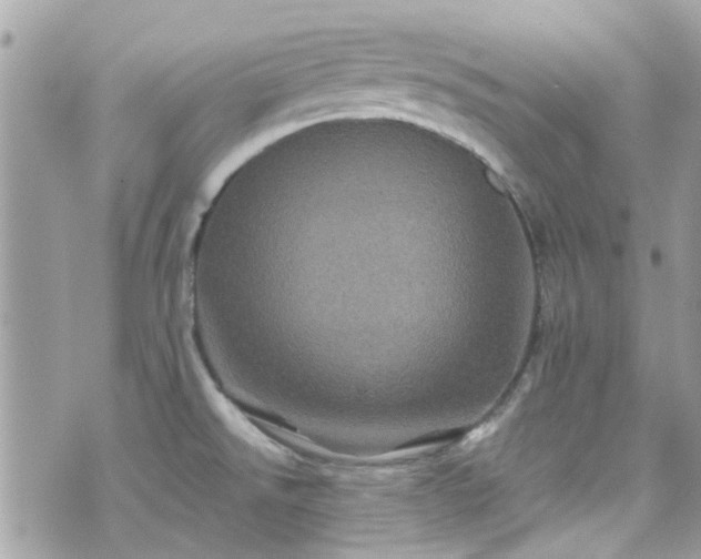 X0000070411526200606161358