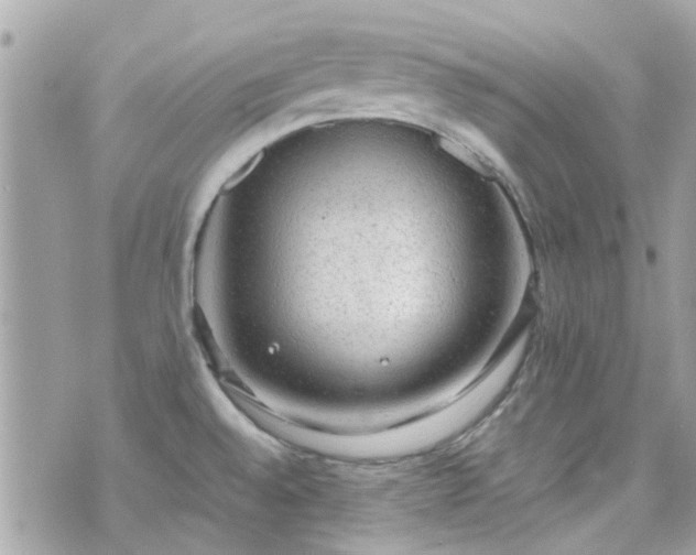 X0000070411528200606161358