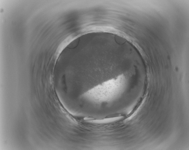 X0000070411529200606161358