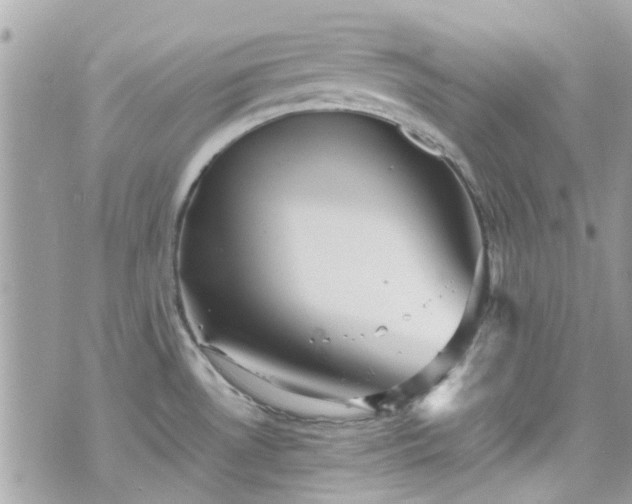 X0000070411530200606161358