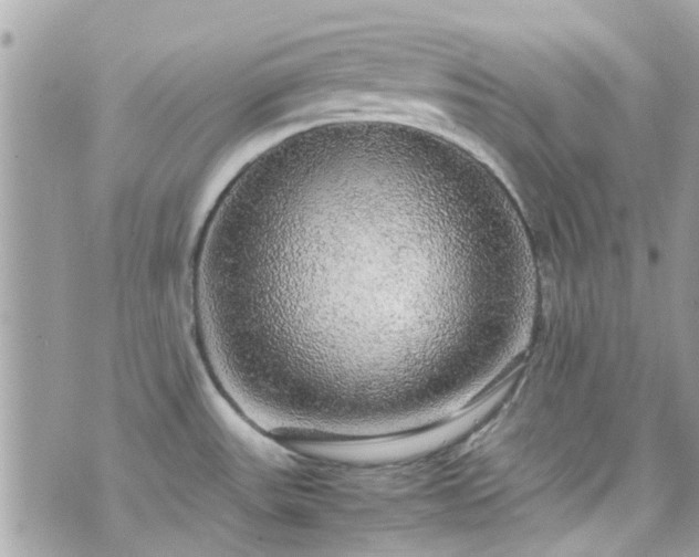 X0000070411531200606161358