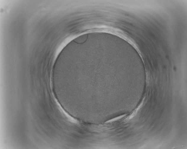 X0000070411533200606161358