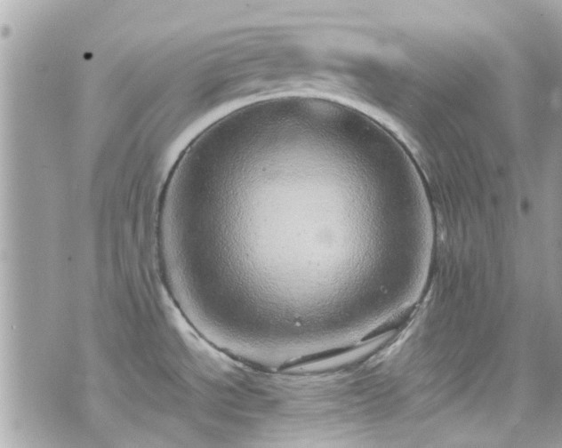 X0000070411534200606161358