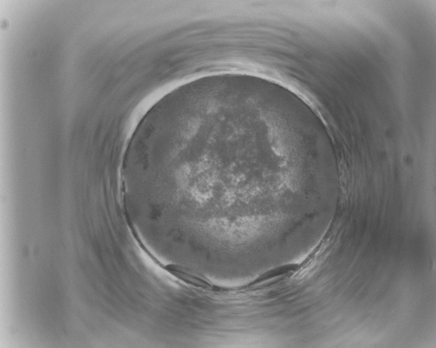 X0000070411535200606161358