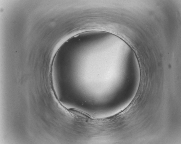 X0000070411536200606161358