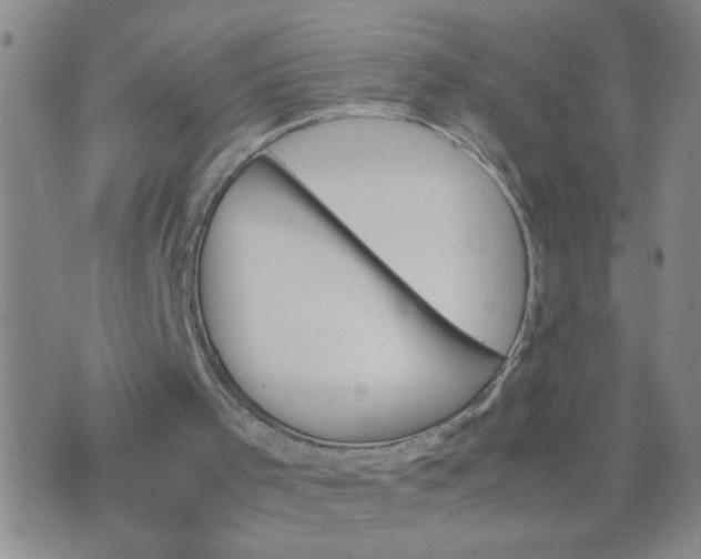 X0000070410001200606231840