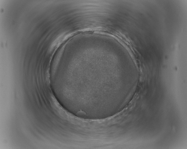 X0000070410002200606231840