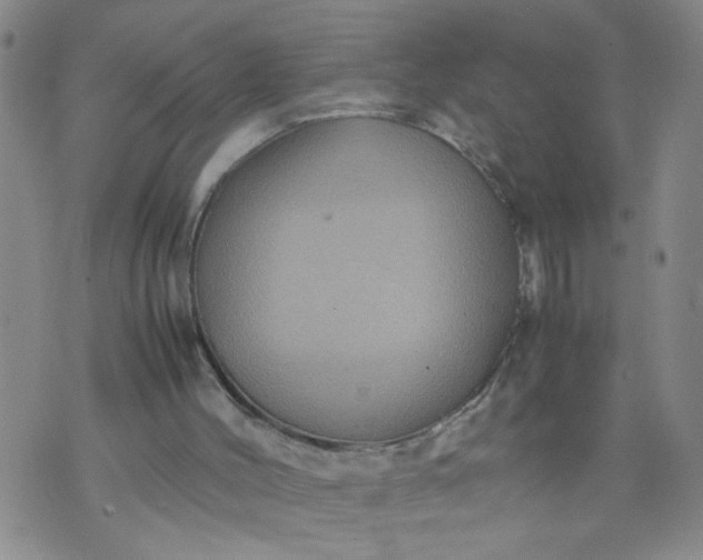 X0000070410004200606231840