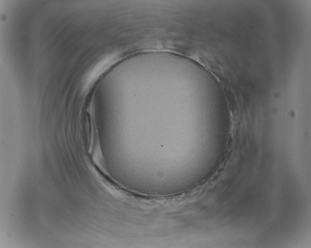 X0000070410005200606231839