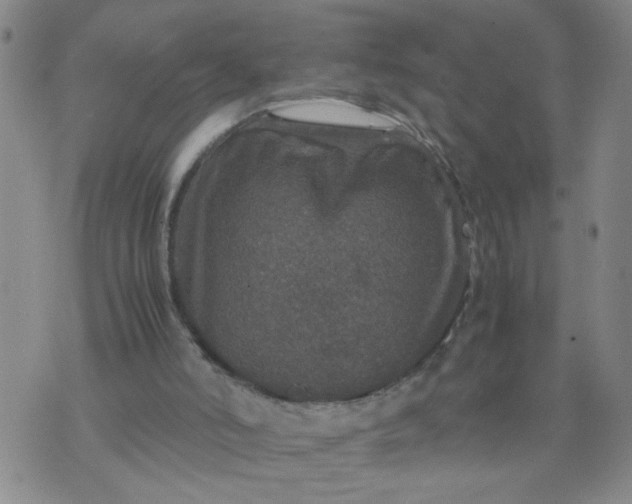 X0000070410006200606231839