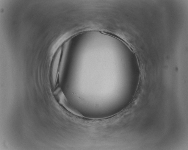 X0000070410007200606231839