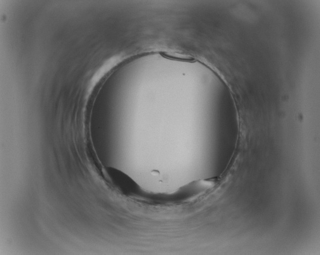 X0000070410008200606231839