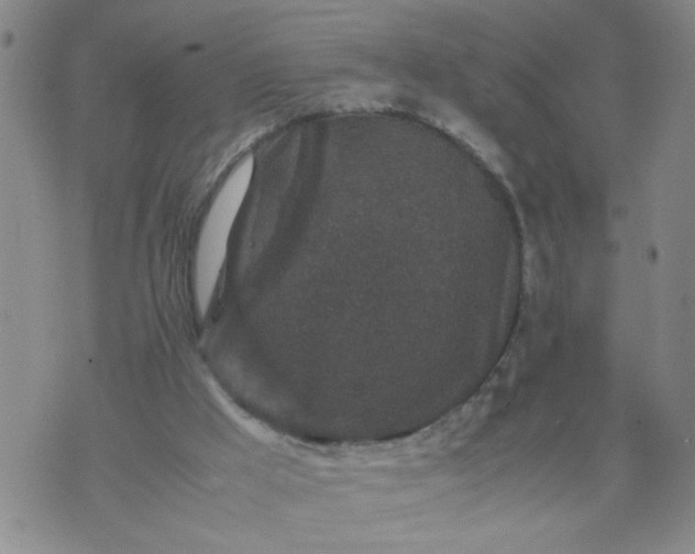 X0000070410009200606231839