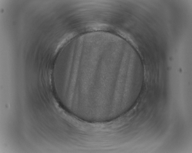 X0000070410010200606231839