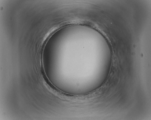 X0000070410011200606231839