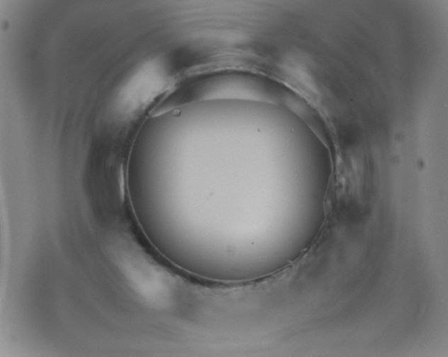 X0000070410013200606231839