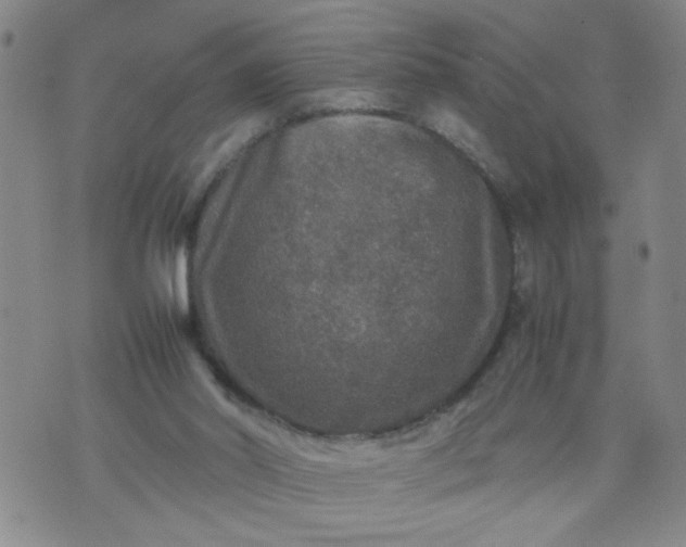 X0000070410014200606231839