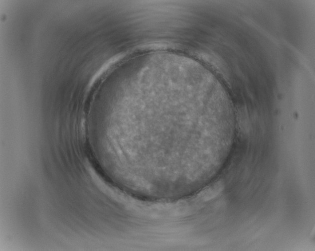 X0000070410016200606231839