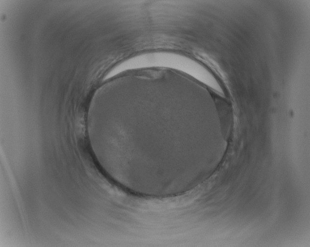 X0000070410017200606231839