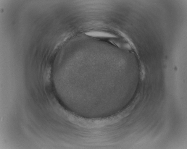 X0000070410018200606231839