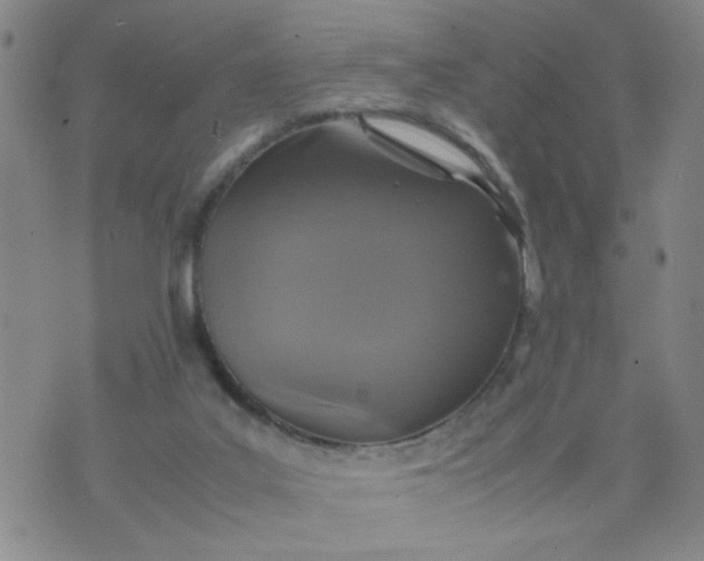 X0000070410019200606231839