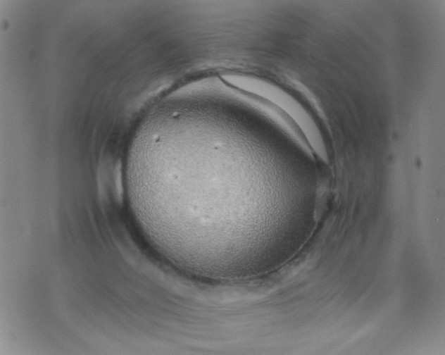 X0000070410020200606231839