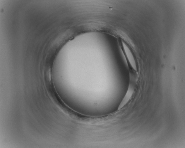 X0000070410021200606231839