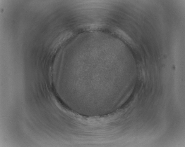 X0000070410022200606231839