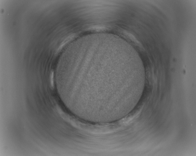 X0000070410024200606231839