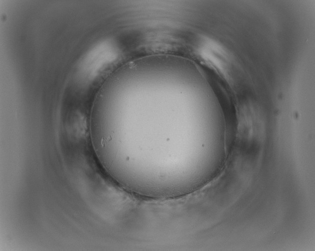 X0000070410025200606231839