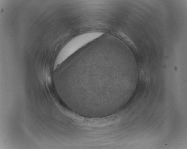 X0000070410026200606231839