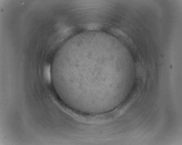 X0000070410028200606231839