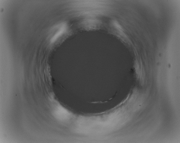 X0000070410029200606231839