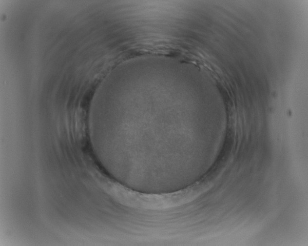 X0000070410030200606231839