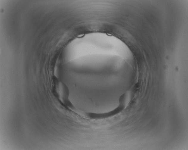 X0000070410031200606231839