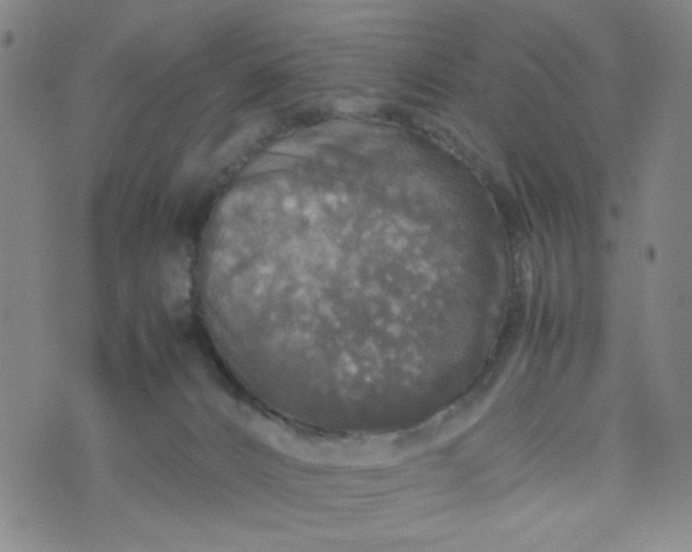 X0000070410032200606231839