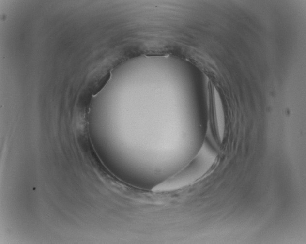 X0000070410033200606231839