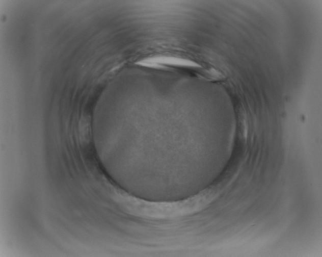 X0000070410034200606231839