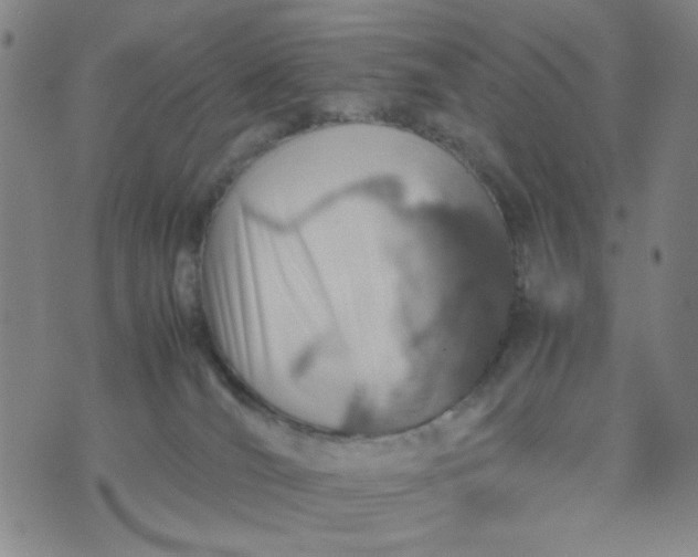 X0000070410036200606231839