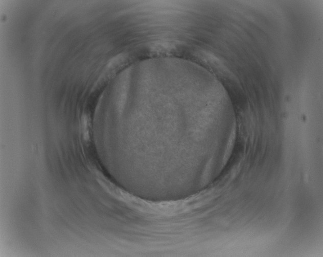 X0000070410038200606231839