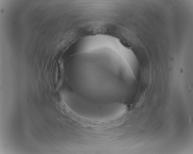 X0000070410039200606231839